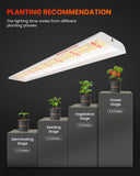 Newest Version Spider Farmer® SF600 74W LED Seedling Grow Light