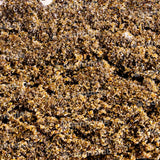 Cannalab ''Moroccan'' 35% CBD Hash