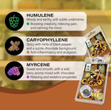 Plant of Life CBD Jelly 22% Chocoloco