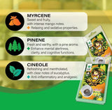 Plant of Life CBD Jelly 22% Mango Kush