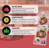 Plant of Life CBD Jelly 22% Strawberry Diesel