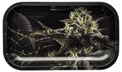 OG Kush Metal Rolling Tray Large - Puff Puff Palace