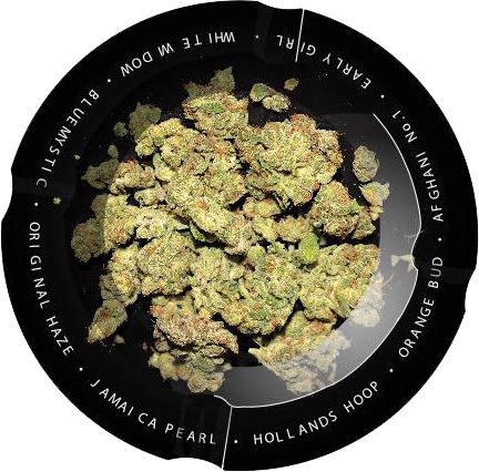 Buds Metal Ashtray - Puff Puff Palace